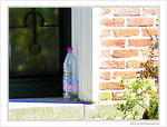 Canicule en vue