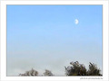 Soir d'automne�? - jean-jacques -- 12/11/04