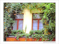 Le repli ... f�erisette -- 16/11/04