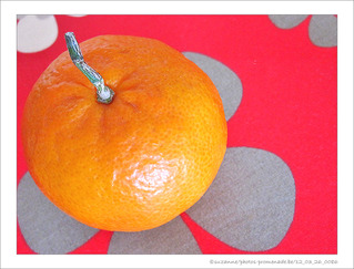 Quand les Fleurs se font Mandarines