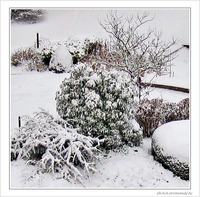Blanches couleurs