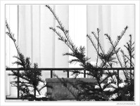Neige au balcon