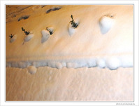 Clins d'oeil parmi les cristaux